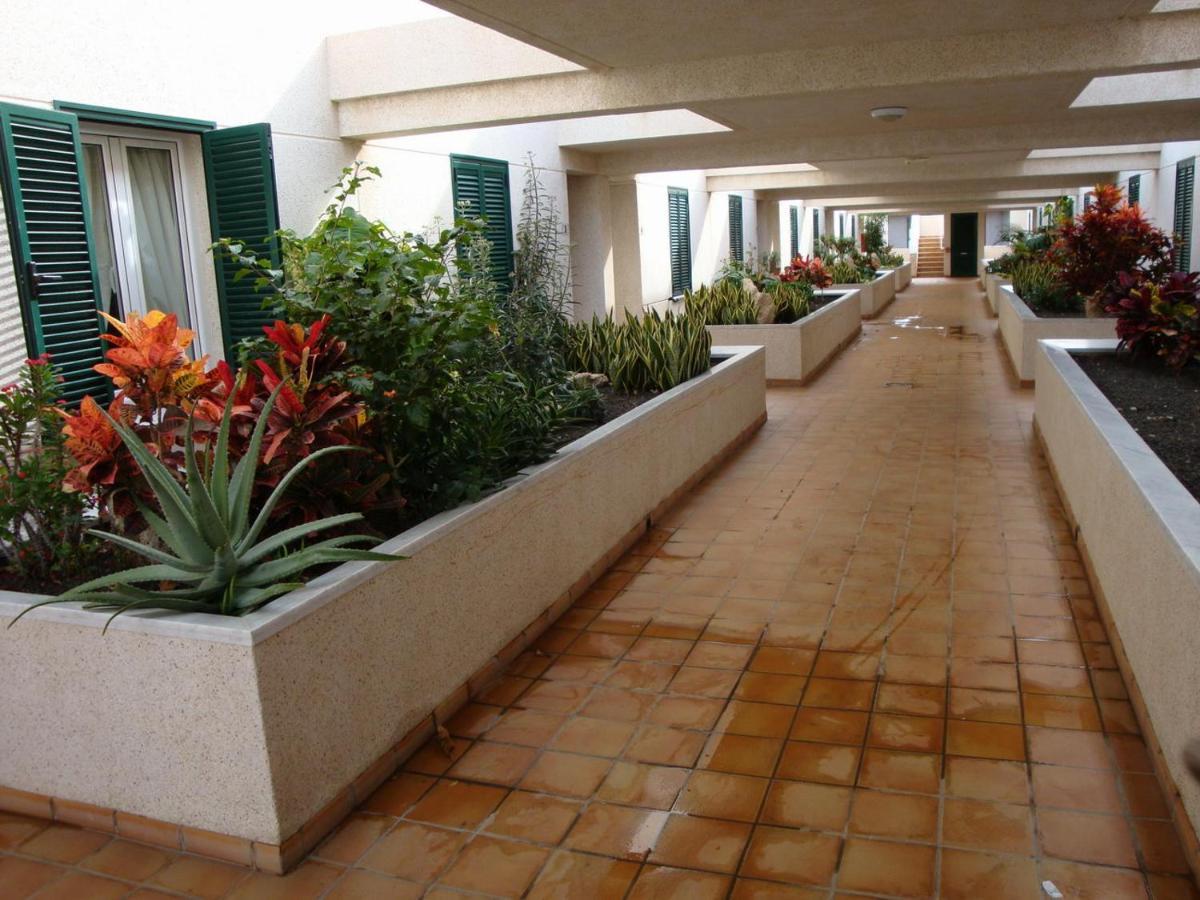 エル・メダノApartamento Con Jardin Y Piscina En El Balanconアパートメント エクステリア 写真