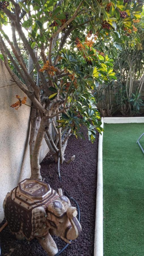 エル・メダノApartamento Con Jardin Y Piscina En El Balanconアパートメント エクステリア 写真